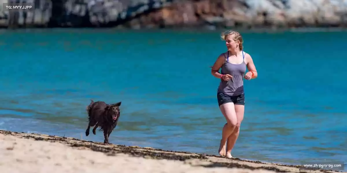 PG电子——以汗水为墨,书写属于你的赛场传奇!🌟